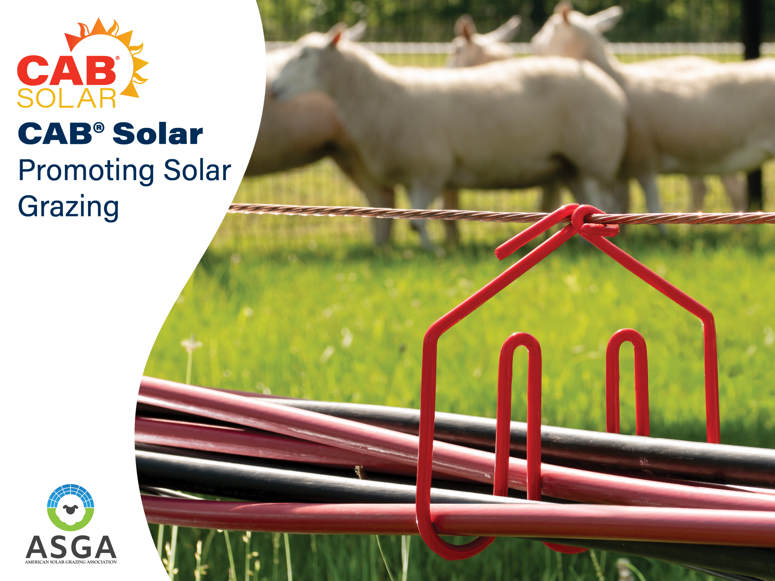 CAB® Solar Promoting Solar Grazing